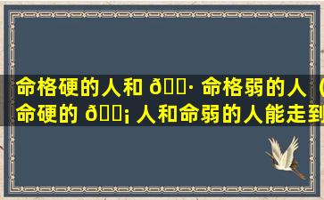 命格硬的人和 🌷 命格弱的人（命硬的 🐡 人和命弱的人能走到一起）